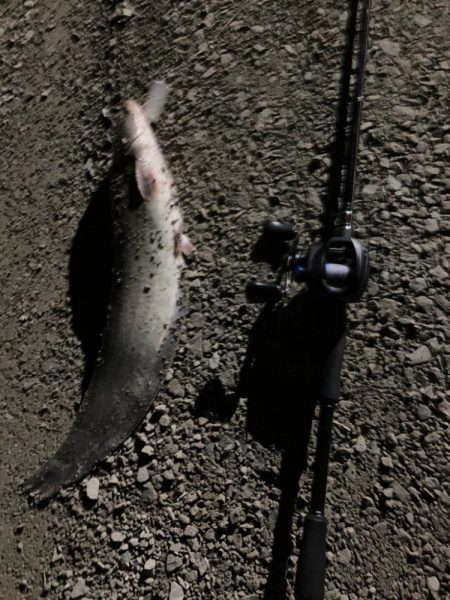 自作ルアーで釣ってみた