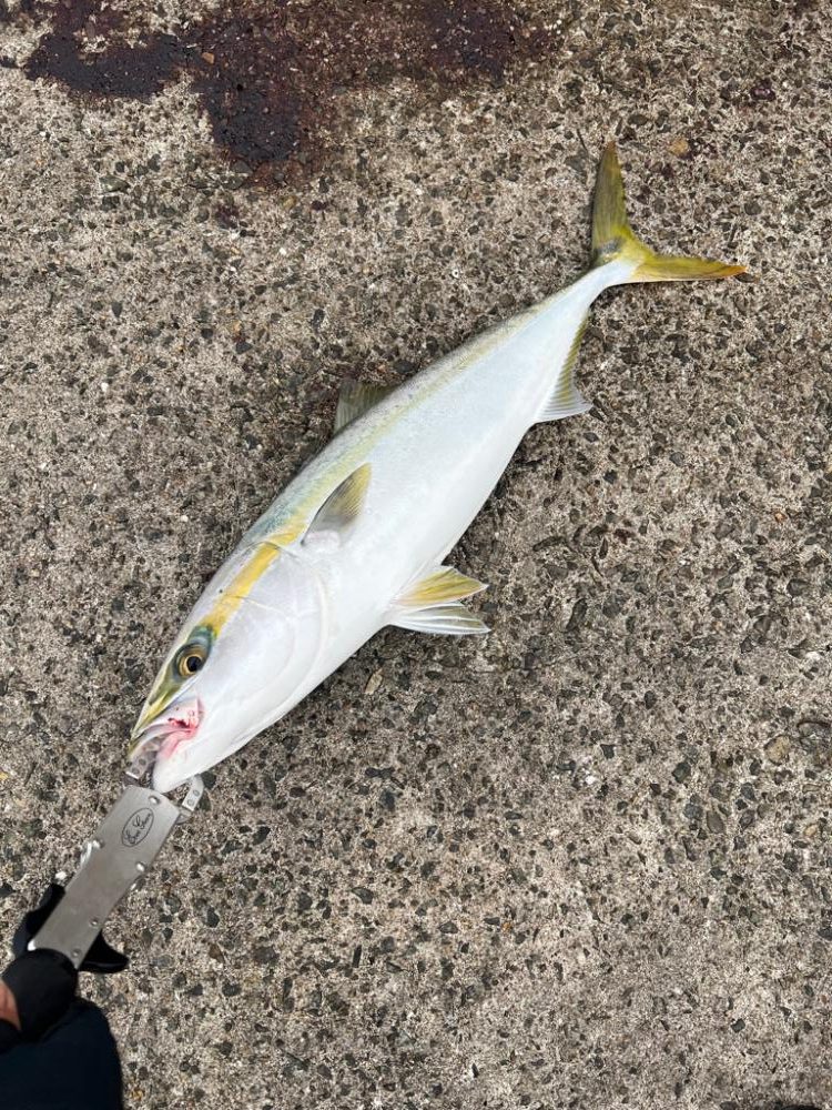 雨降り前の曇天大潮