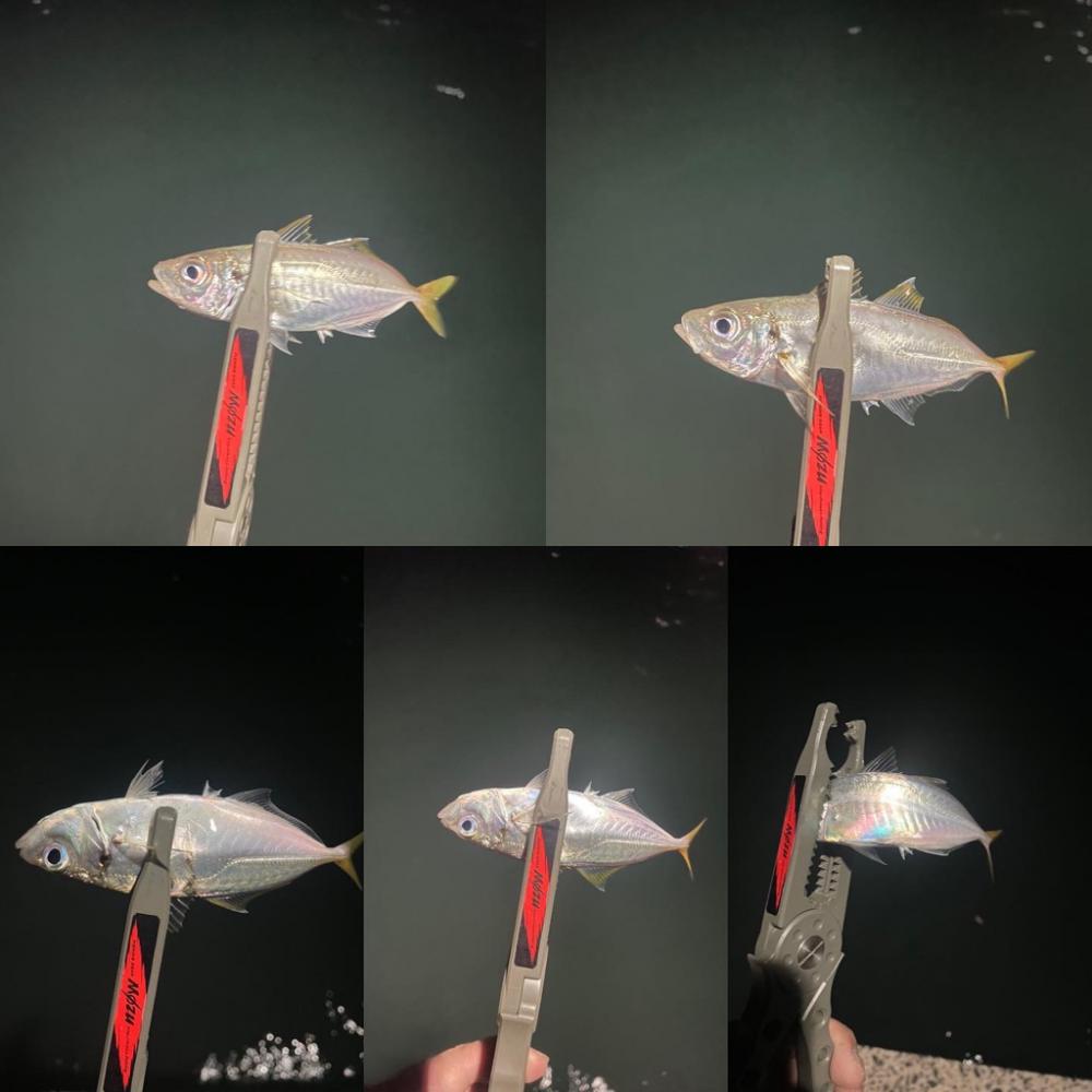 久しぶりのホームグラウンド