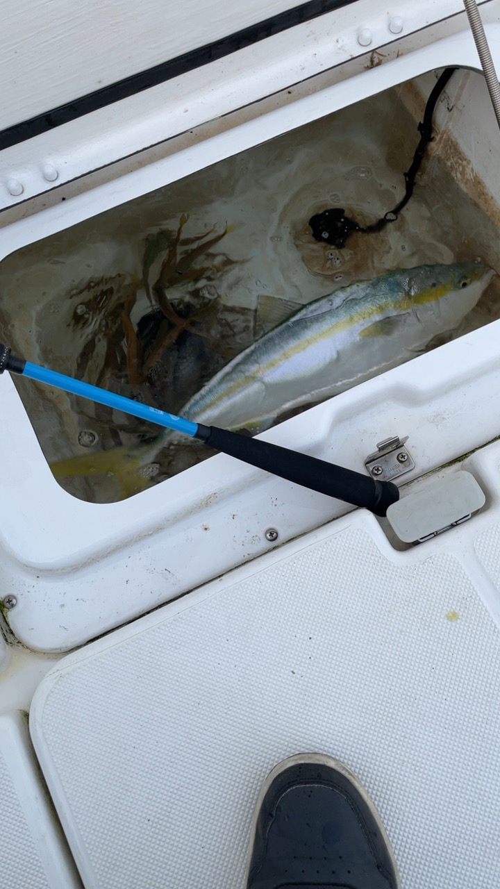 久しぶりのボート出船