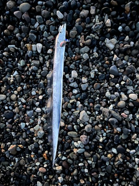 青物はいずこへ