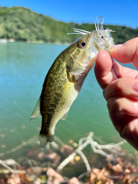 ここは淡水ですよね⁇笑