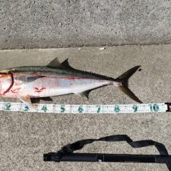 クロスライド最高！