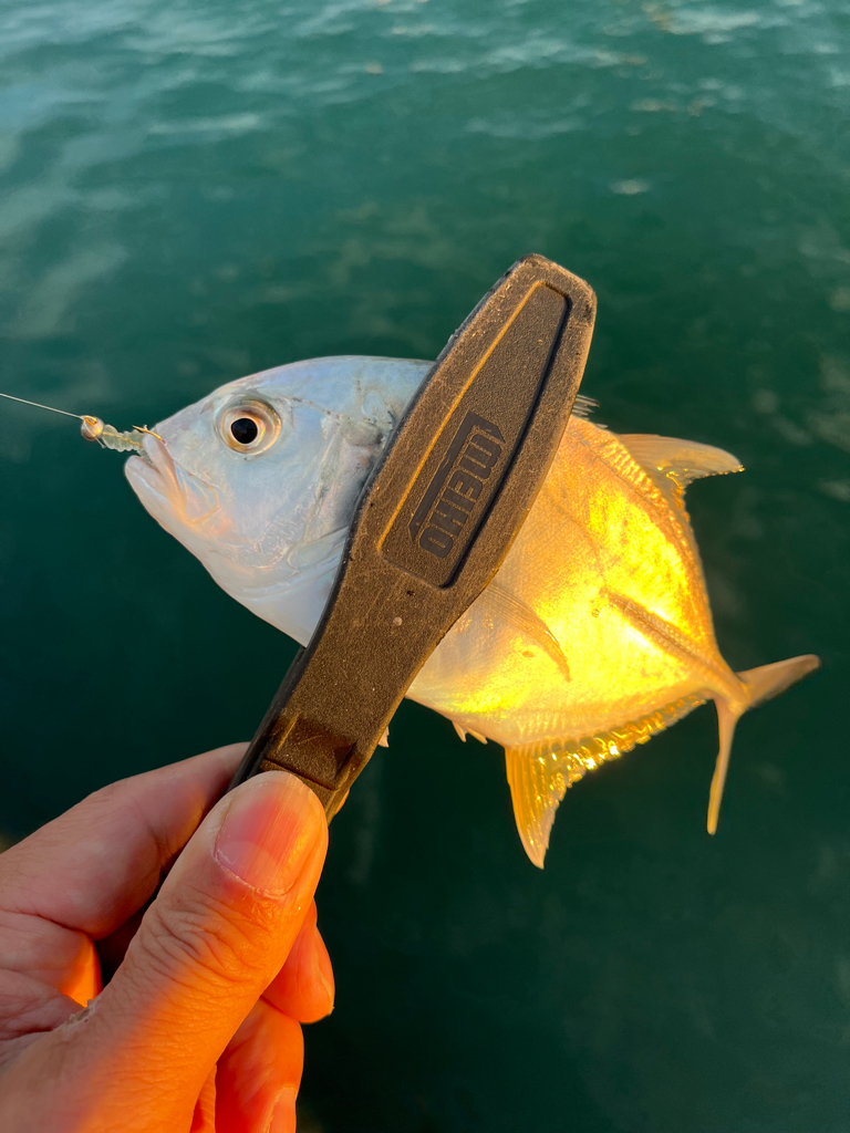 ピッタリ尺サイズ