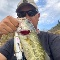 今日も今日とて