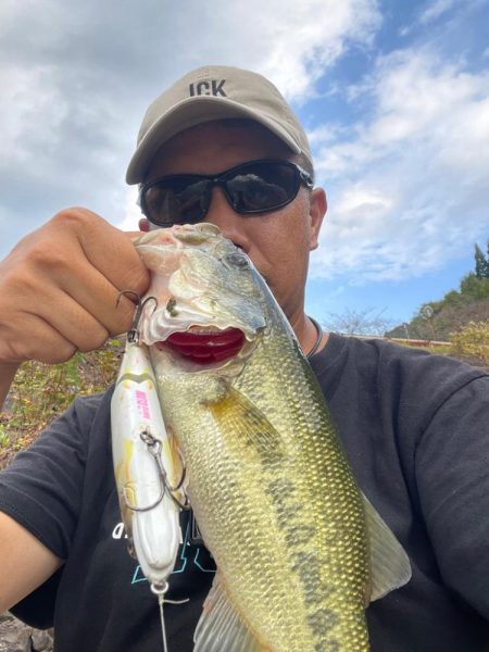 今日も今日とて