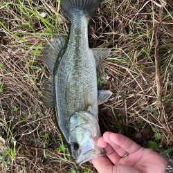 琵琶湖の小〜中バス