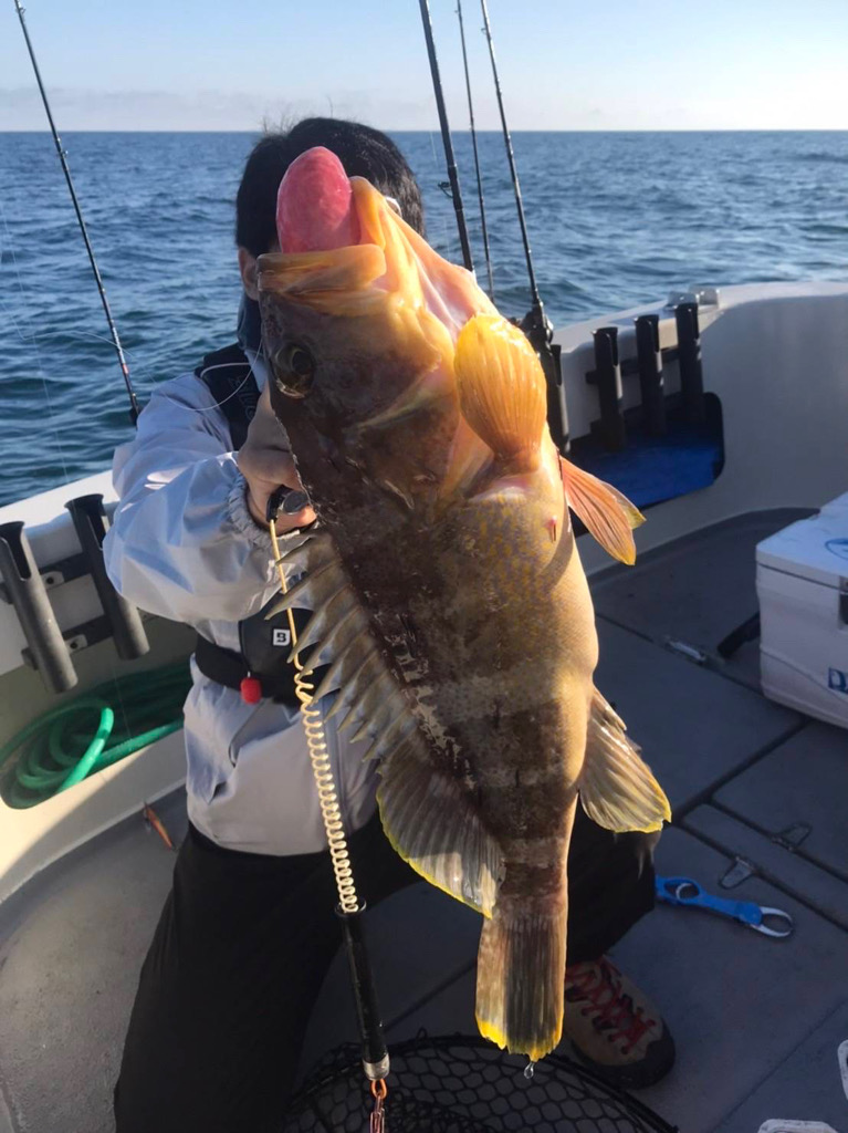 初のタイラバ&ライトジギング