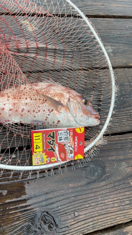 雨の釣り堀海恵