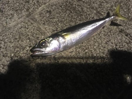 極端にアタリ減少