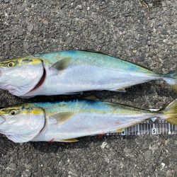 初ノマセで2枚抜き