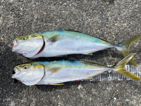 初ノマセで2枚抜き