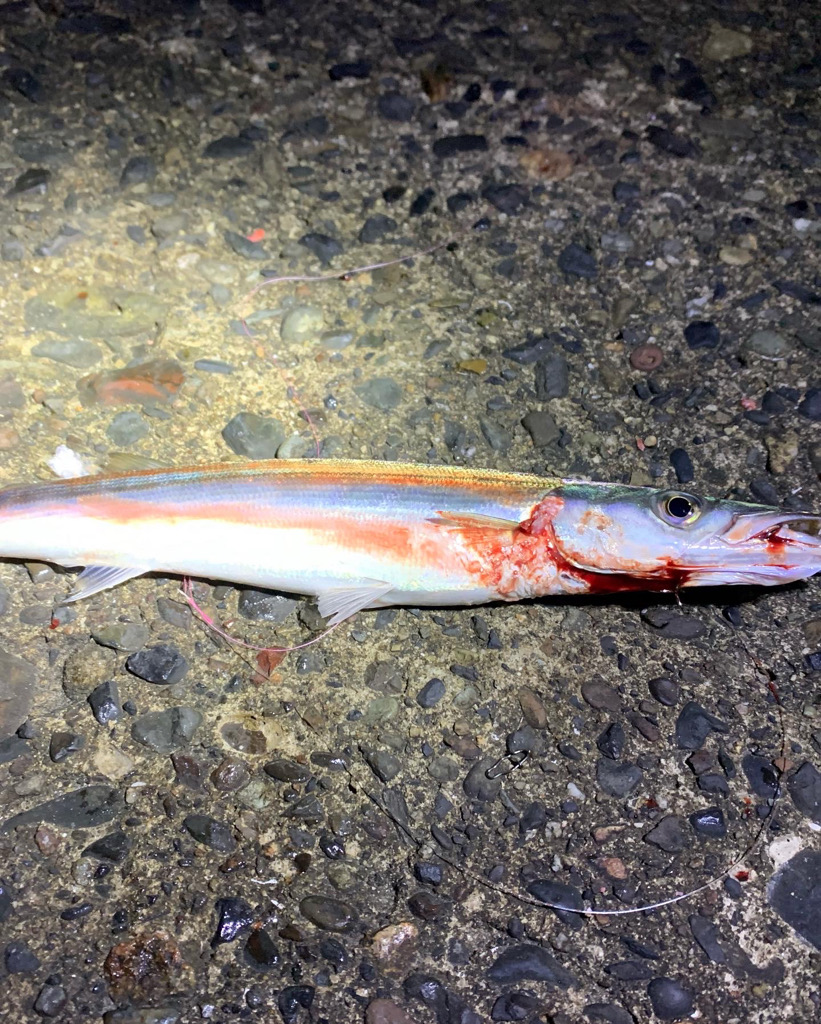 ダイソー最高!!