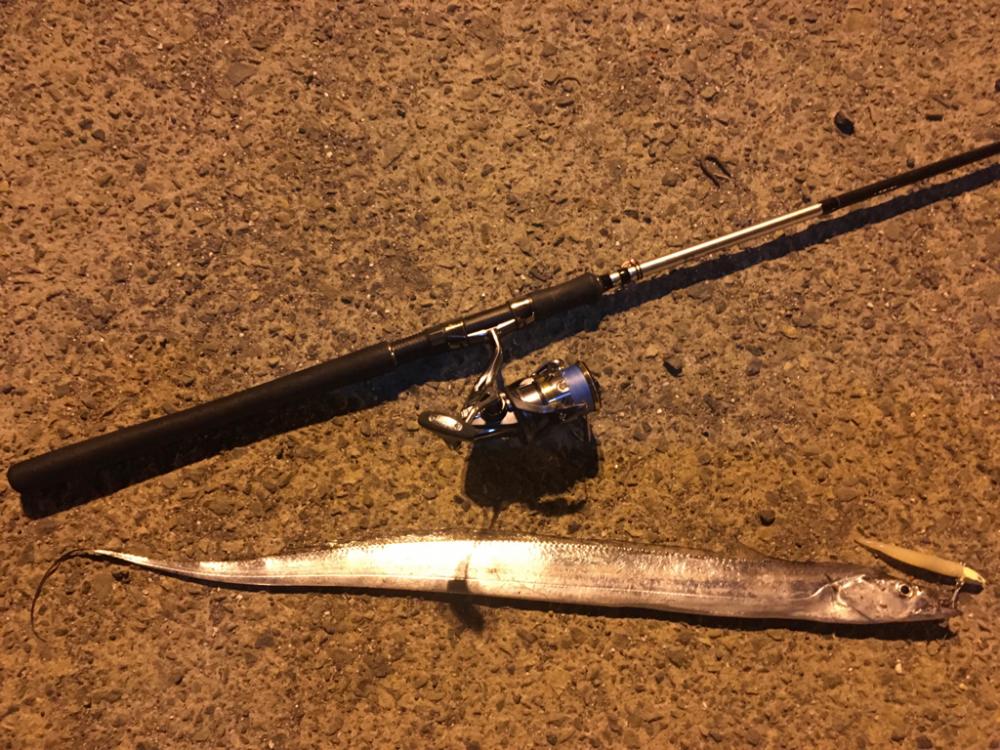 夕練 運だめし！