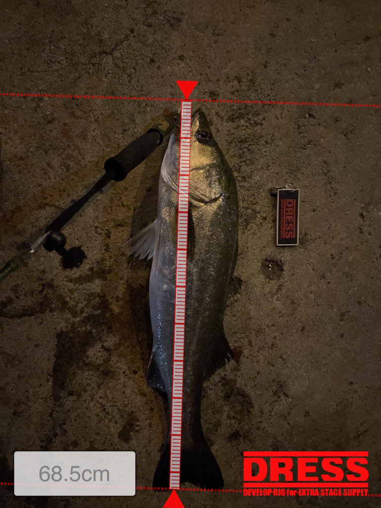 見えてはいるのに