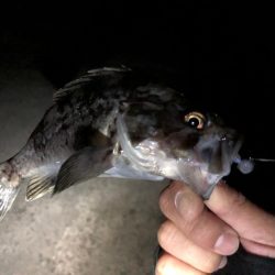 近所の漁港にて