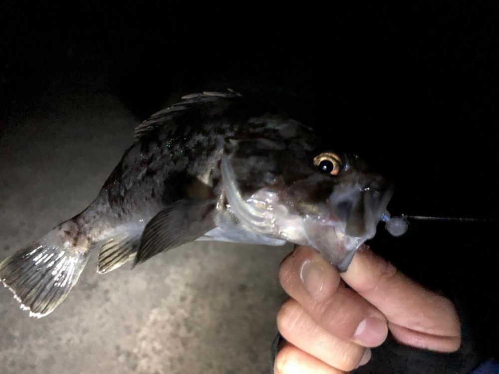 近所の漁港にて