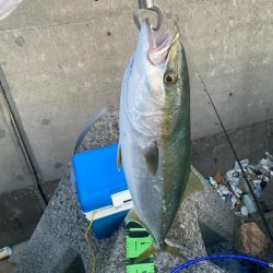 ショアジギング