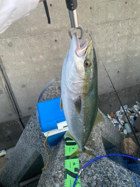 ショアジギング