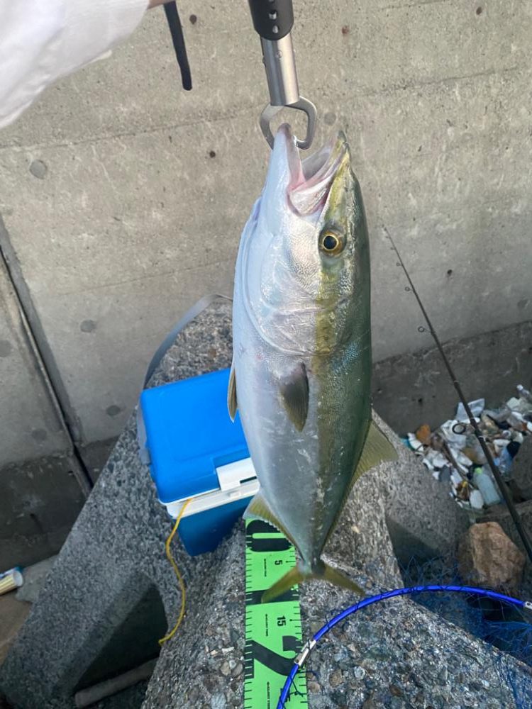 ショアジギング