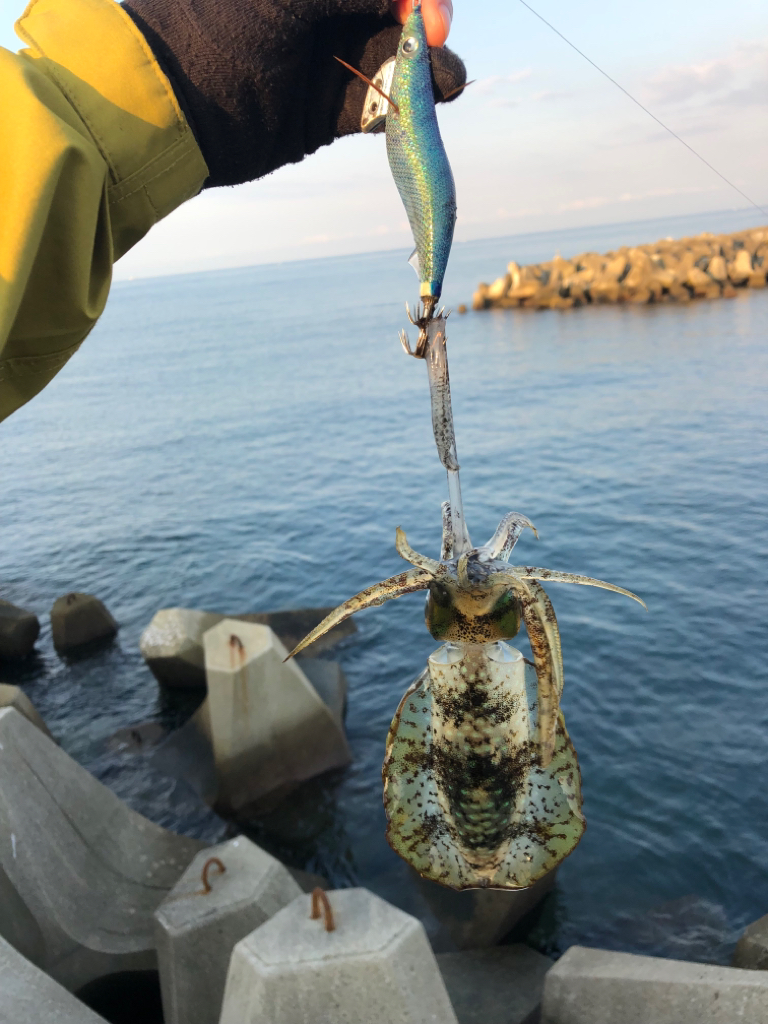 【和歌山遠征】念願の1杯はリリースサイズ・・・