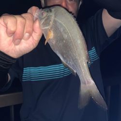 アジュール舞子　変な穴釣り