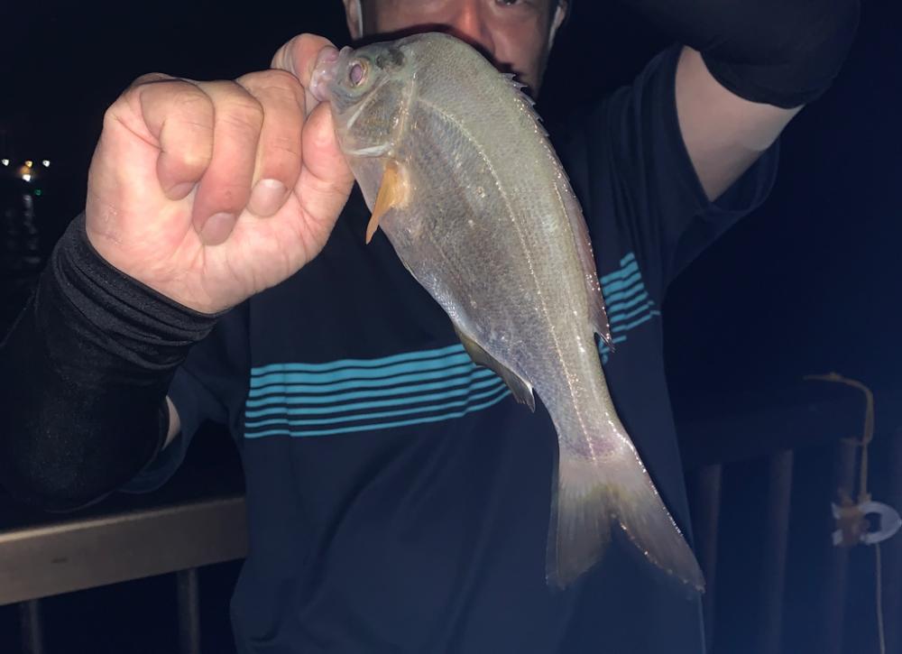 アジュール舞子　変な穴釣り