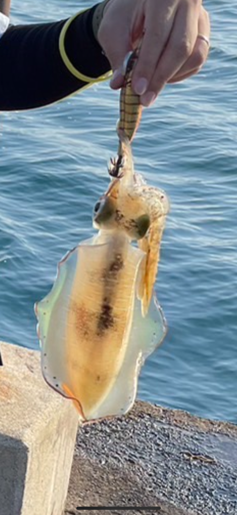 マイタックルにて初！！