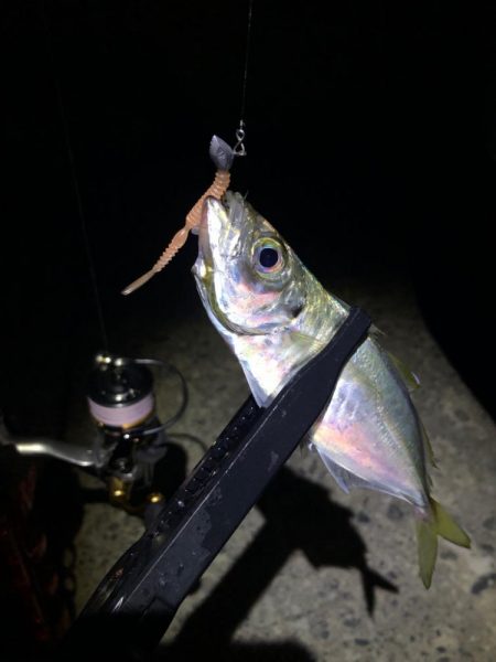 爆風で激渋、おまけに寒い…