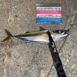 オンスタックルモニター