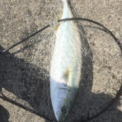 第8回雰囲気あります。