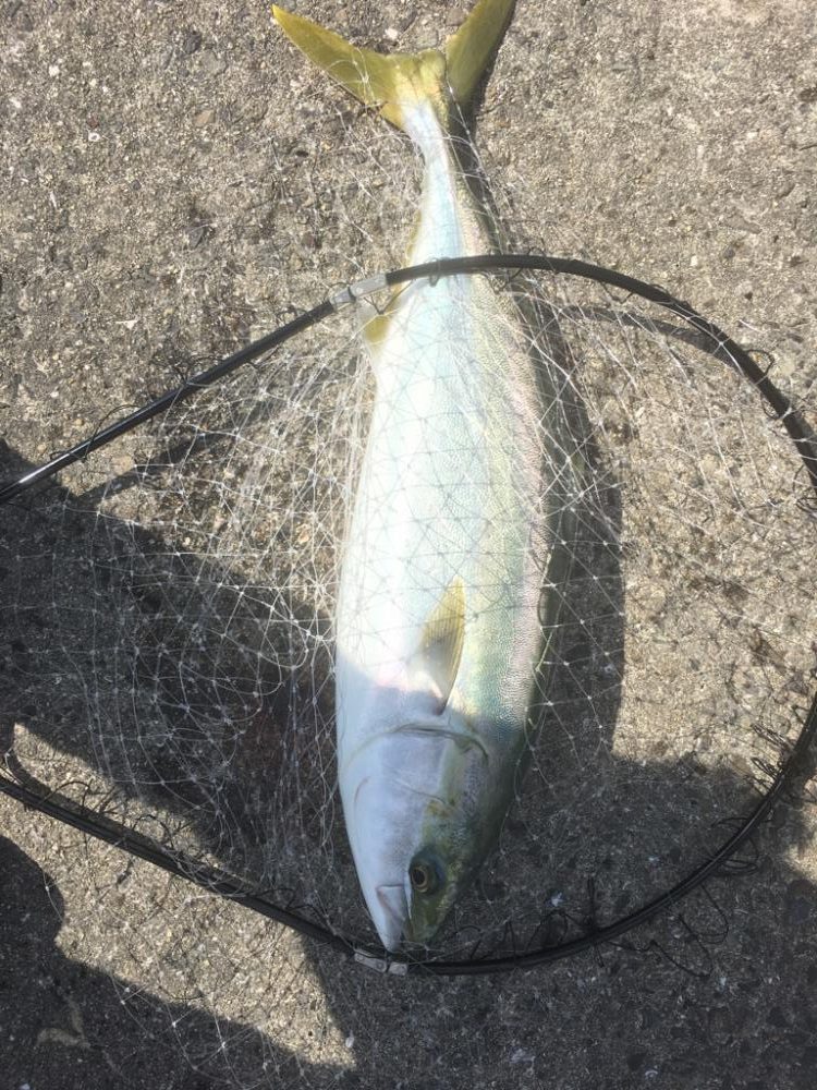 第8回雰囲気あります。