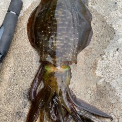 ラインのあたりは至福の時