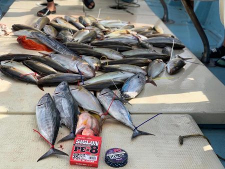 久々のジギング