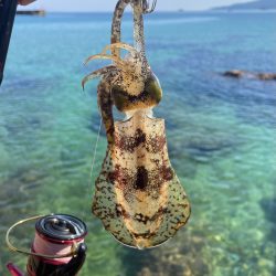 朝のキモはシャロー