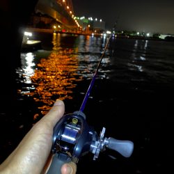 大阪湾奥アジング 初ベイトアジング