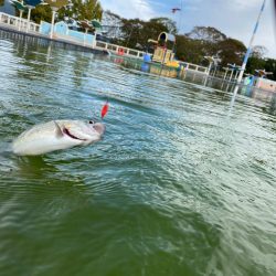 かめプー　貸切でストレスなし