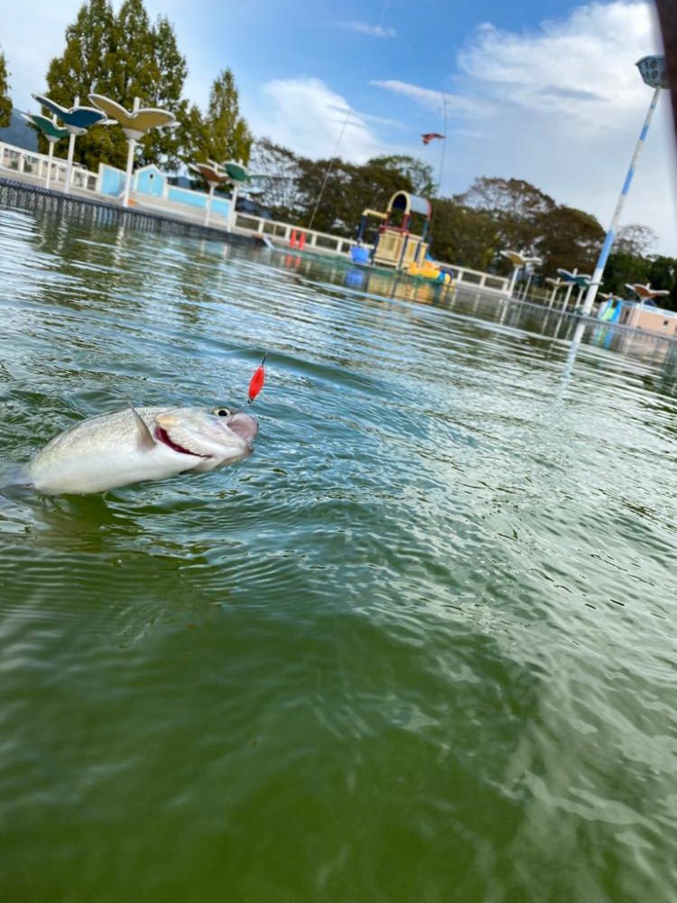 かめプー　貸切でストレスなし