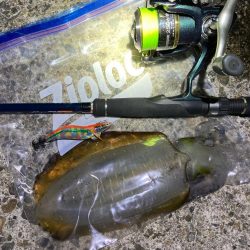 バラすもなんとか。