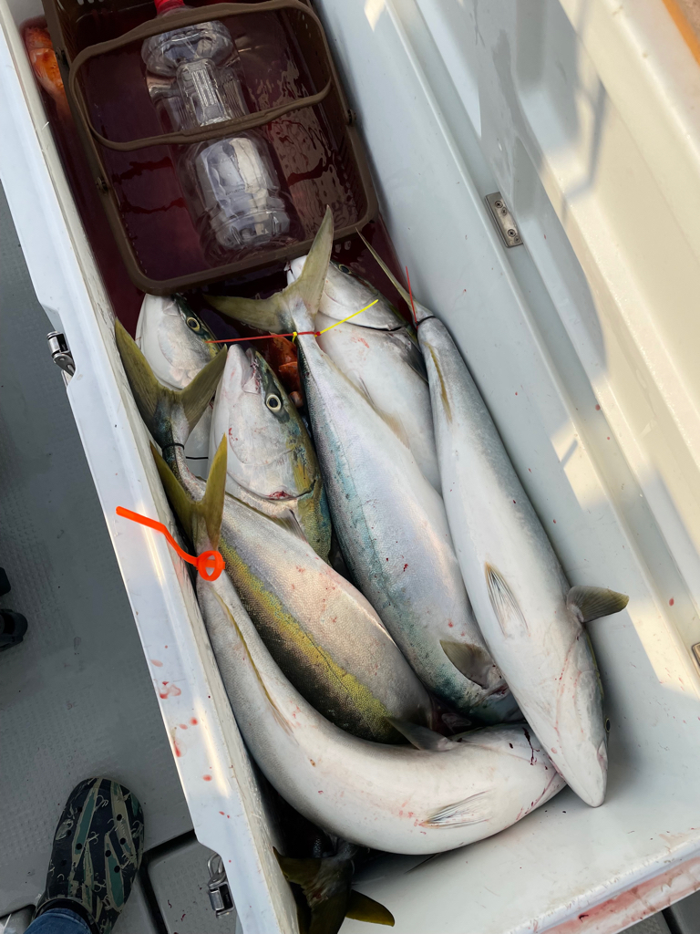 経ヶ岬沖青物ジギング