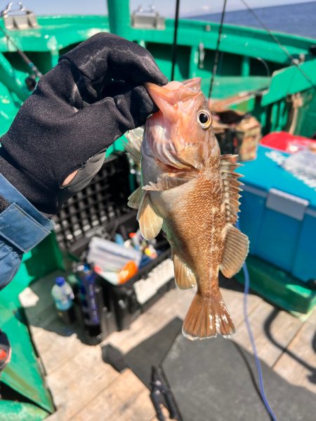 オフショアジギング