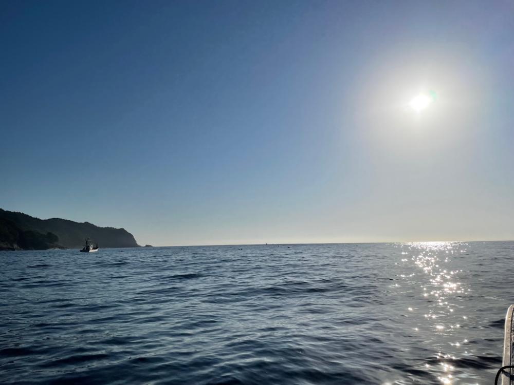 三陸船カレイ釣り