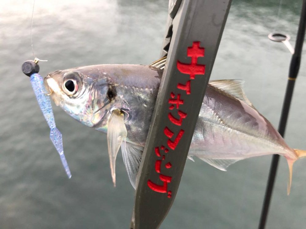 デイアジングおもしろ！