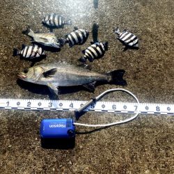 当日朝は少し肌寒く