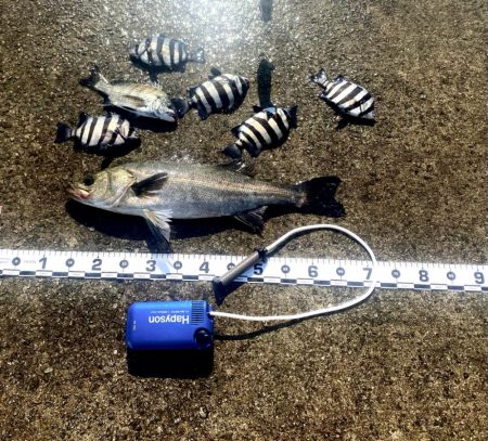 当日朝は少し肌寒く