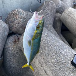 大潮は渋いのか？