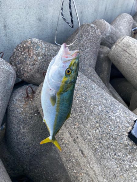 大潮は渋いのか？