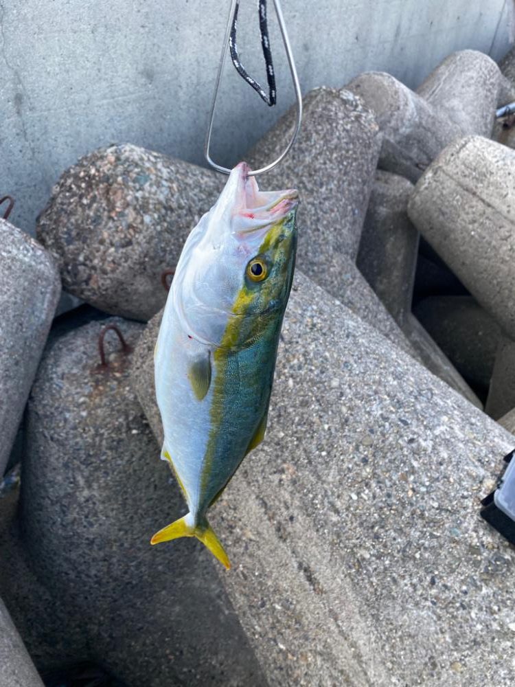 大潮は渋いのか?