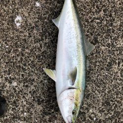 トップでヒット！