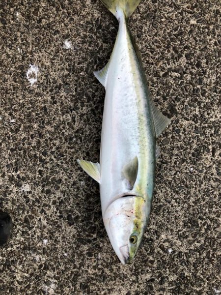 トップでヒット！